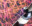 artocore-2-thumb Open Idea